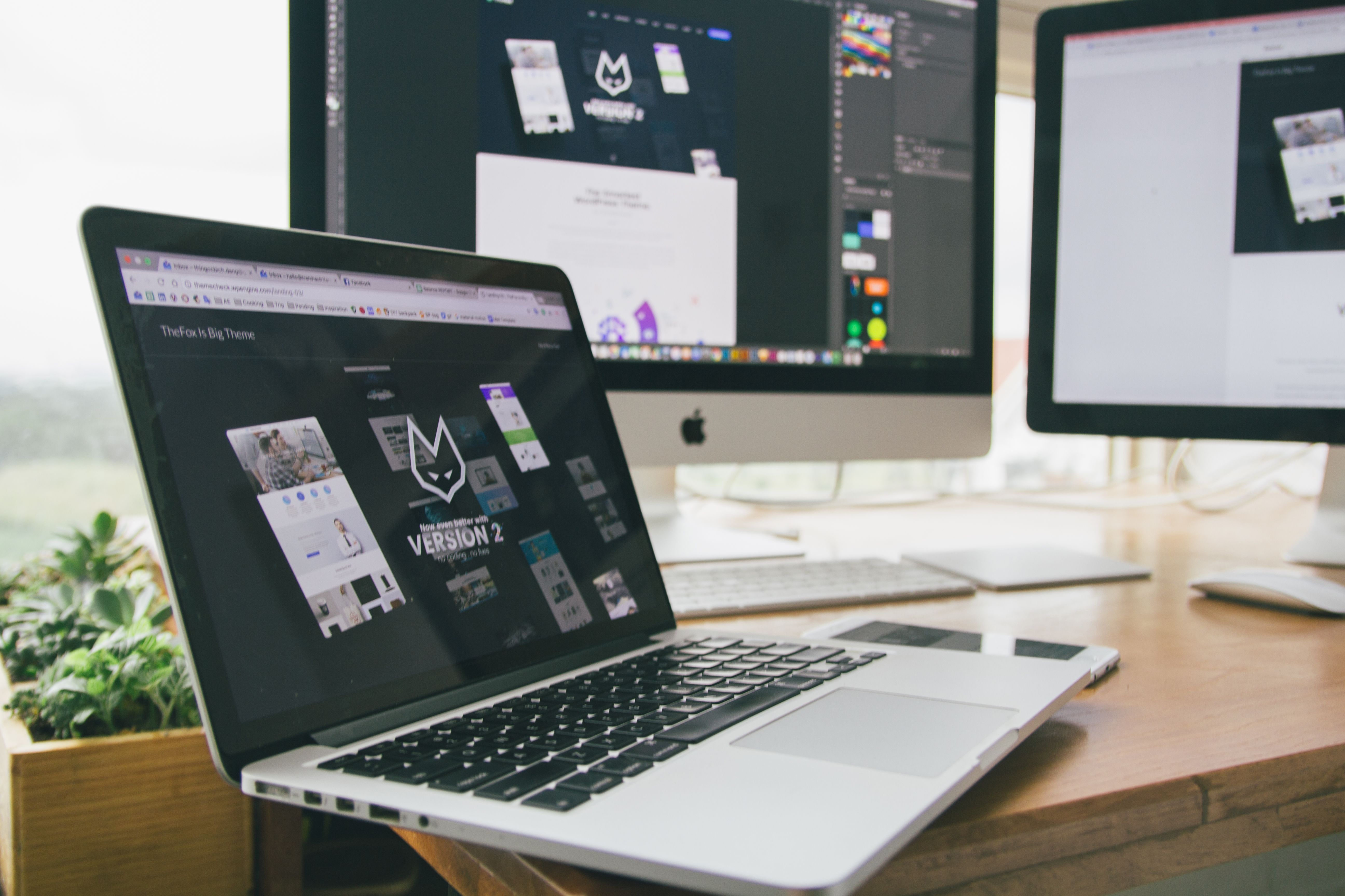 Web Design Agency in India